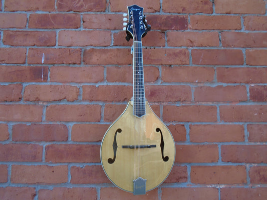 Bourgeois M5-A mandolin, B stock in a good condition