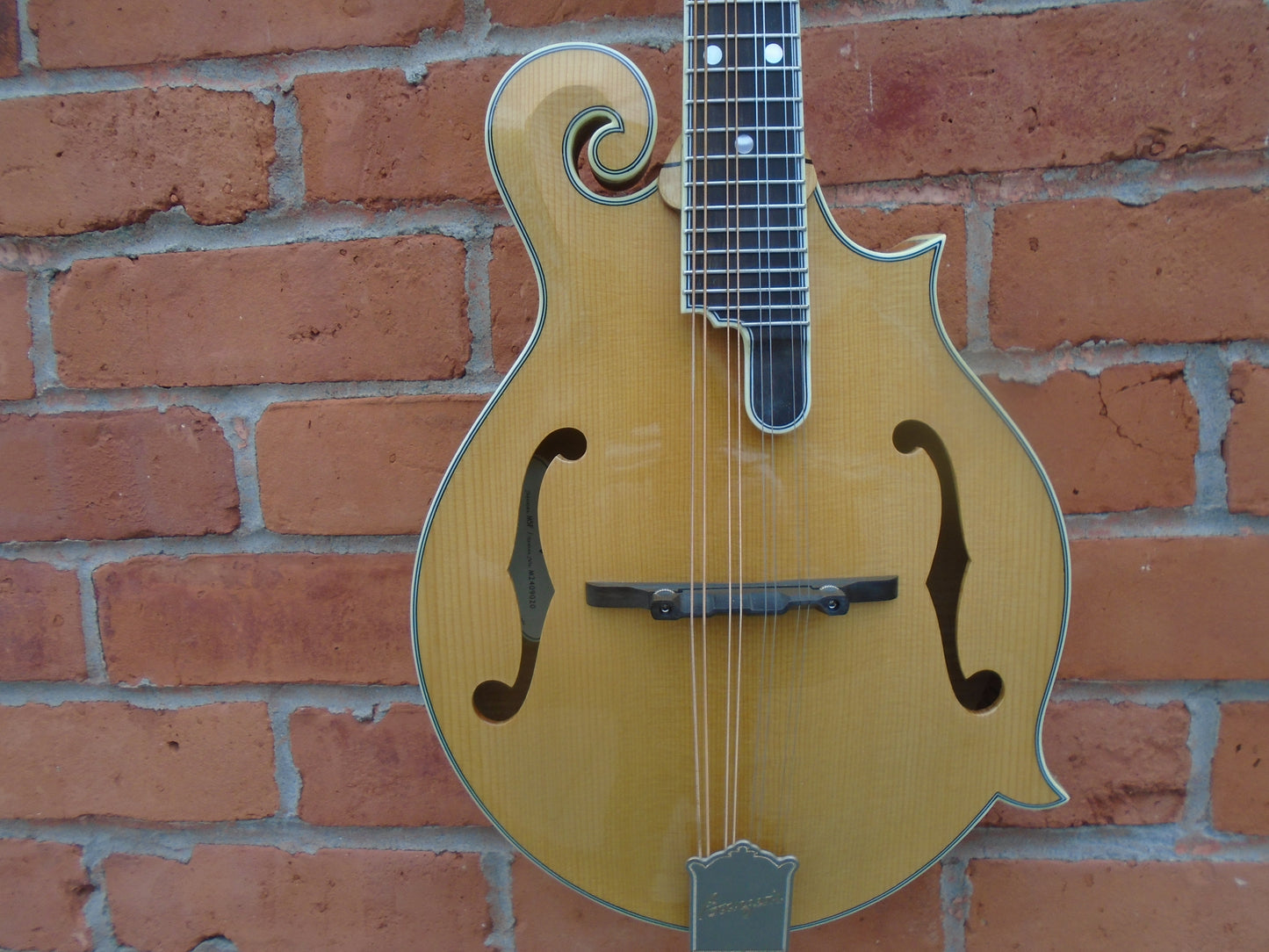 Bourgeois M5-F mandolin w/hard case-B stock