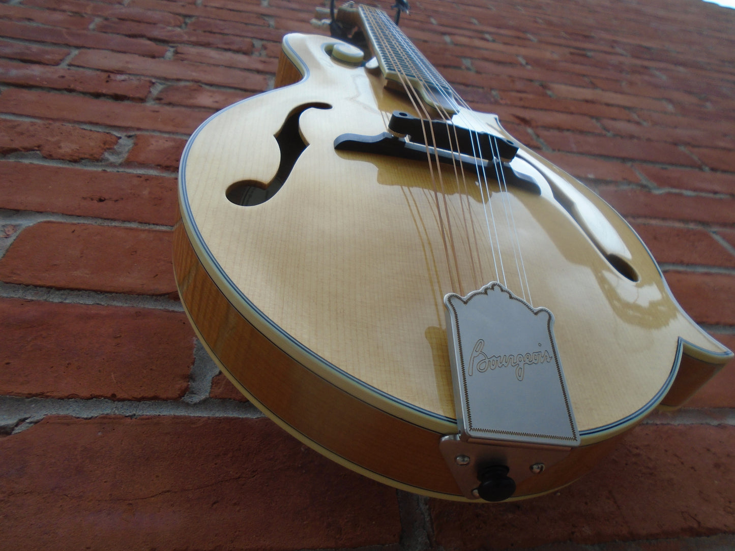 Bourgeois M5-F mandolin w/hard case-B stock