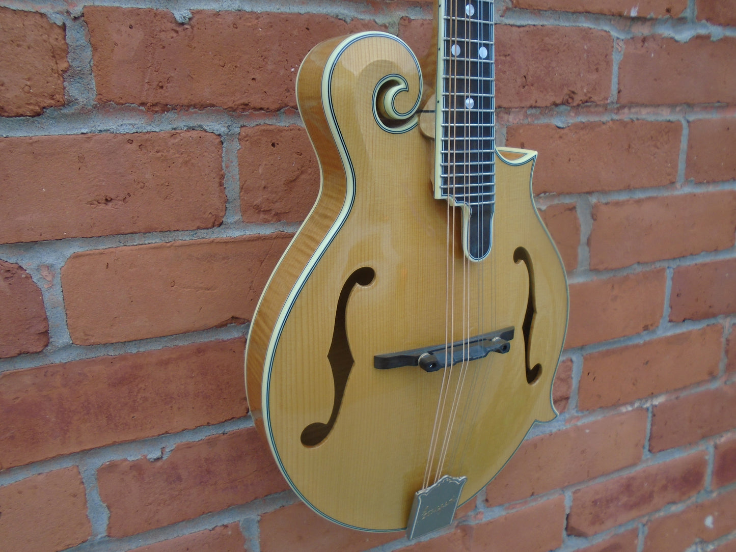 Bourgeois M5-F mandolin w/hard case-B stock