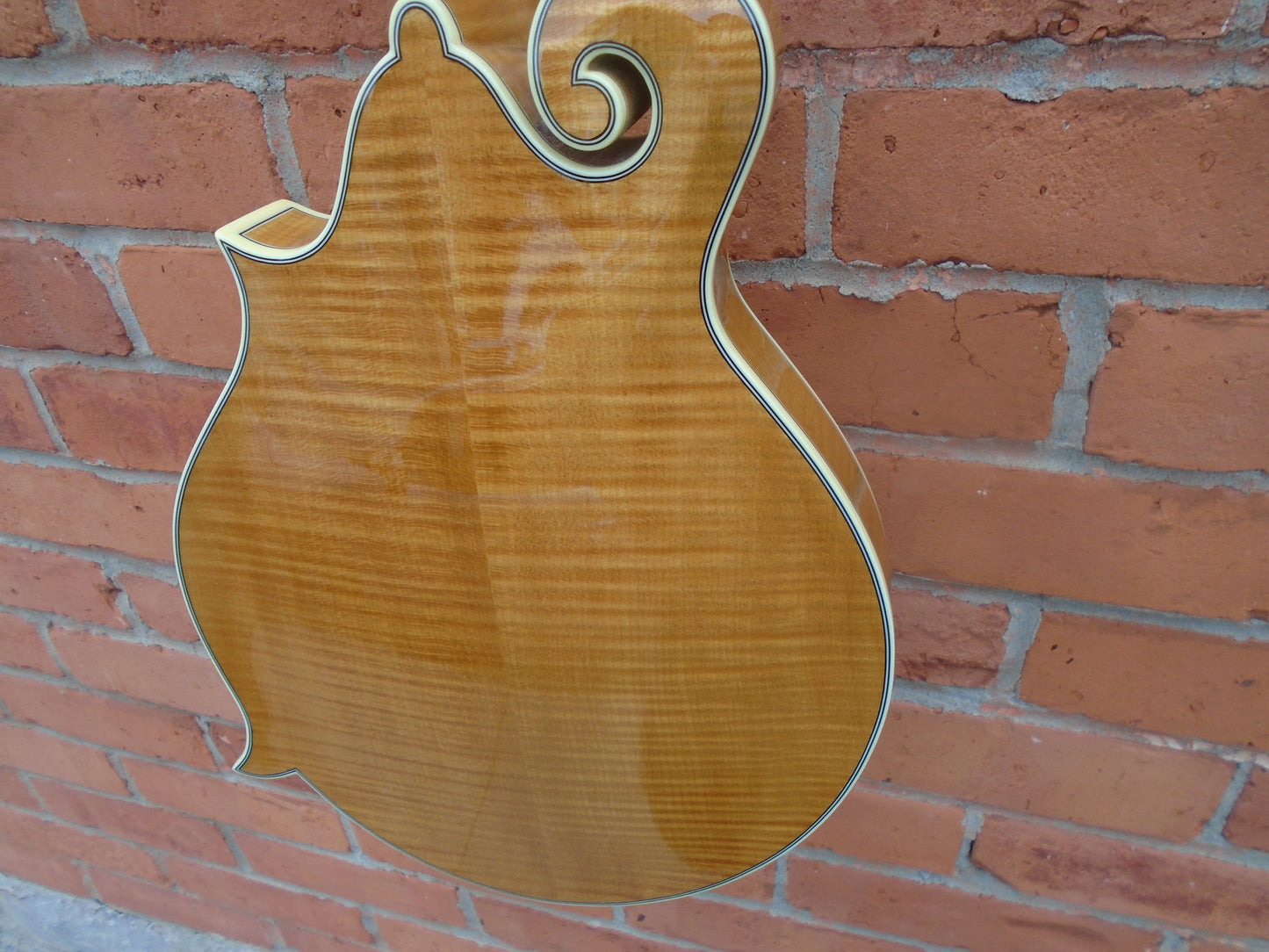 Bourgeois M5-F mandolin w/hard case-B stock