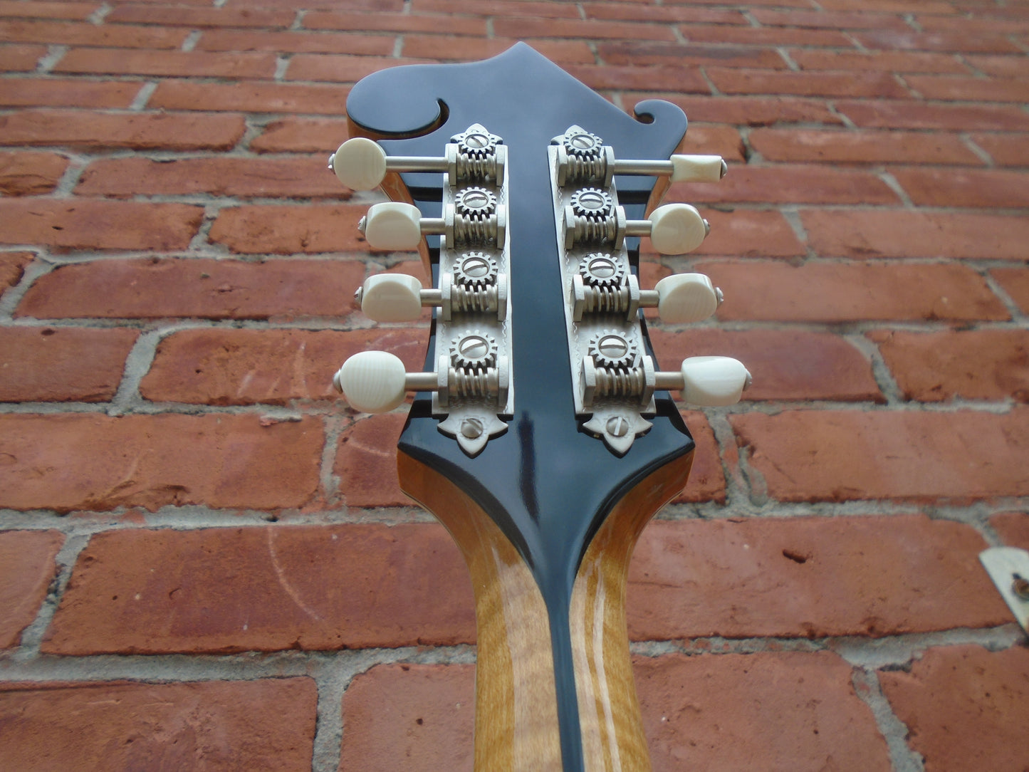 Bourgeois M5-F mandolin w/hard case-B stock