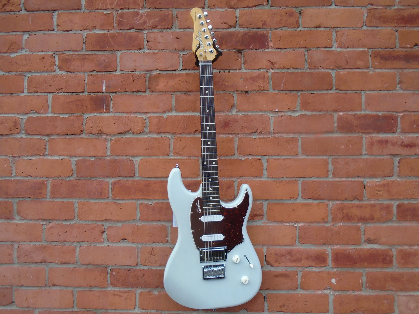 Godin SessionR PRO White w/bag