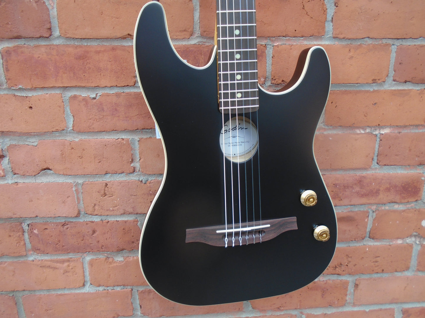 Godin G-Tour Nylonr Black w/bag