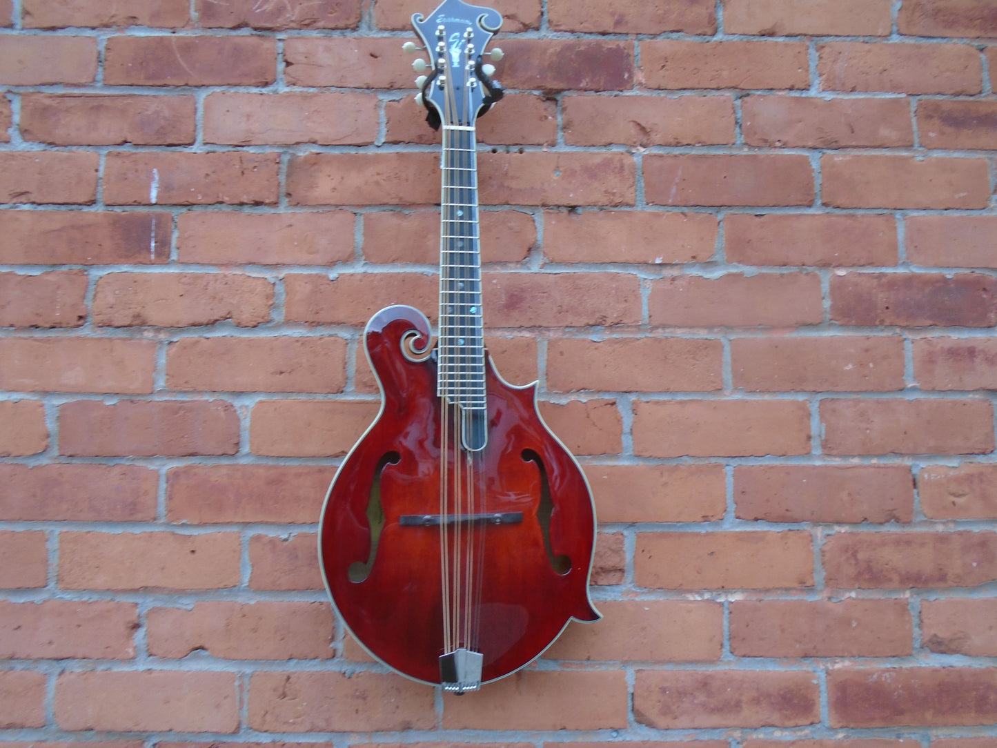 Eastman MDA815 Mandola w/case-B stock in an excellent condition