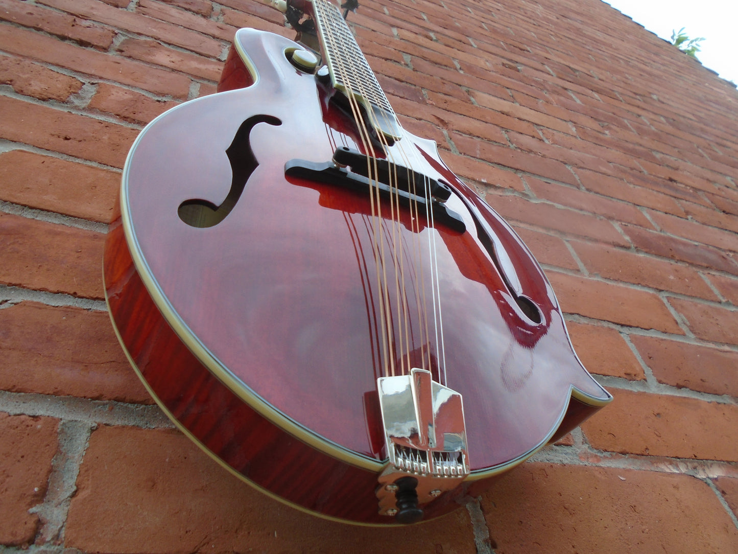 Eastman MDA815 Mandola w/case-B stock in an excellent condition