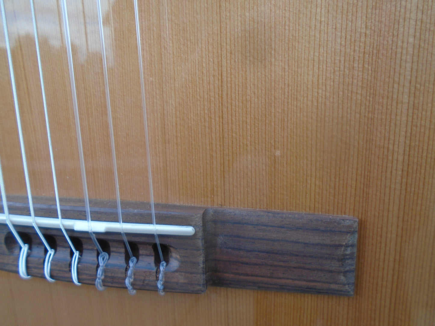 Godin Collection Classica ll SF