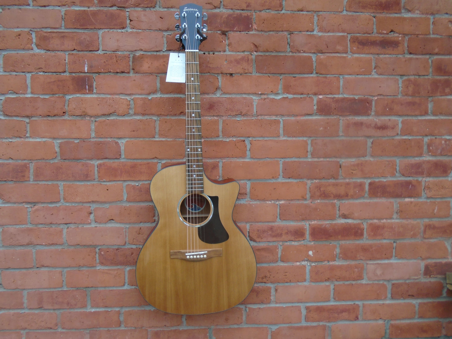 Eastman  PCH1-GACE w/bag & strap