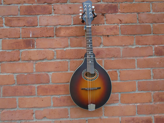 EastmanMD304E-SB mandolin w/bag
