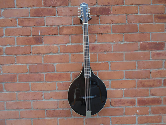 Bourgeois M5-O-BT octave mandolin