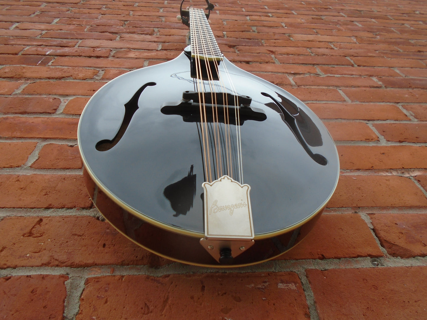 Bourgeois M5-O-BT octave mandolin