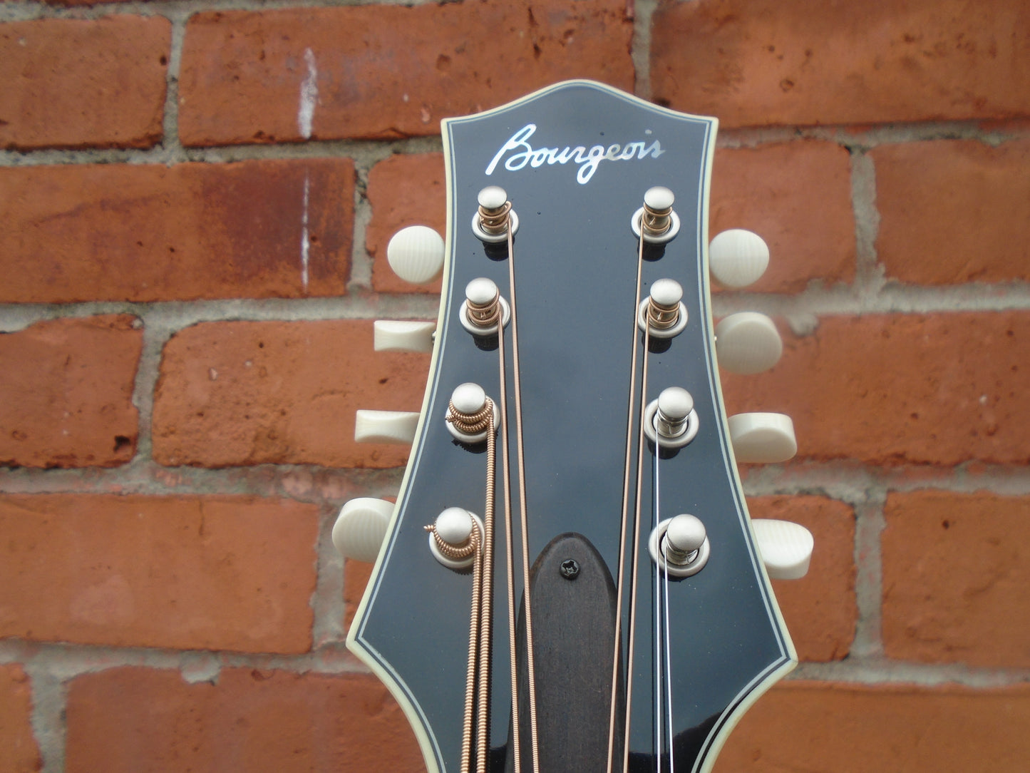 Bourgeois M5-O-BT octave mandolin