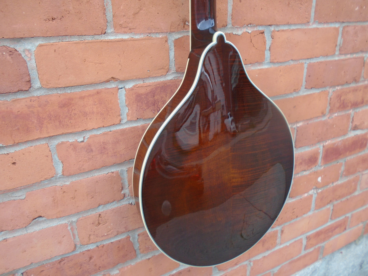 Bourgeois M5-O-BT octave mandolin