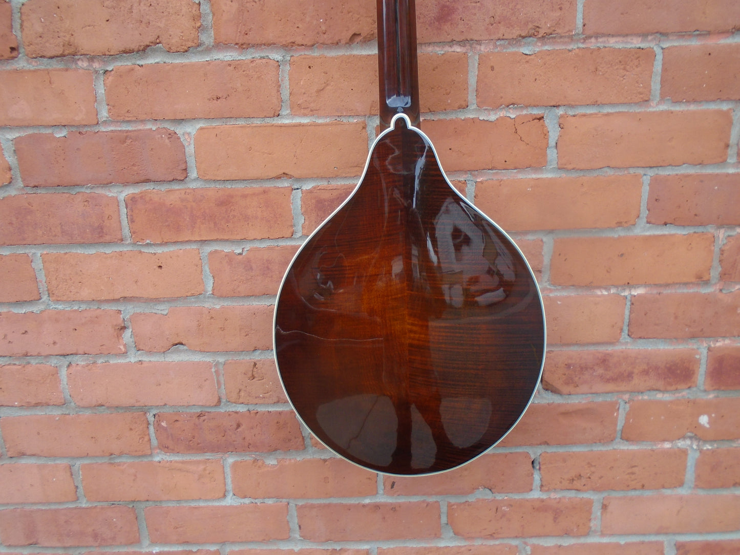 Bourgeois M5-O-BT octave mandolin