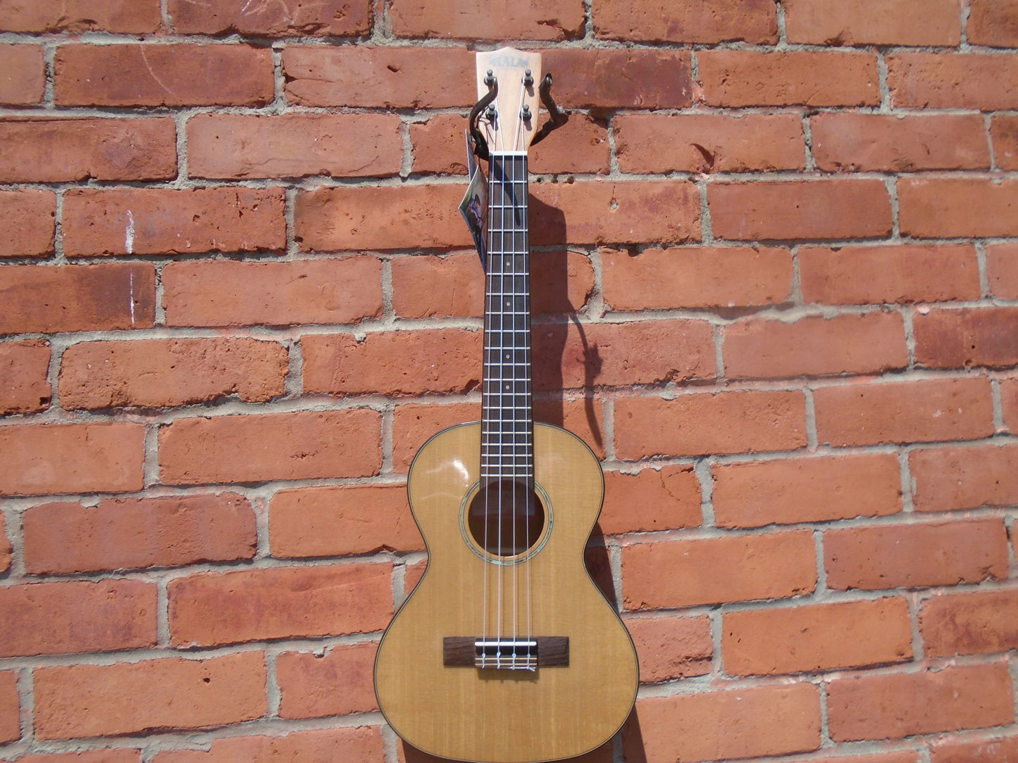 Kala KA-SCAC-T ukulele w/bag-store demo ,mint