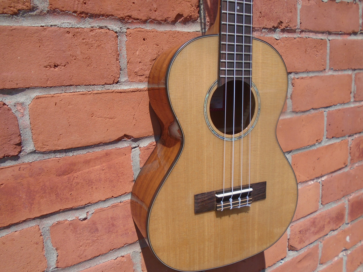 Kala KA-SCAC-T ukulele w/bag-store demo ,mint