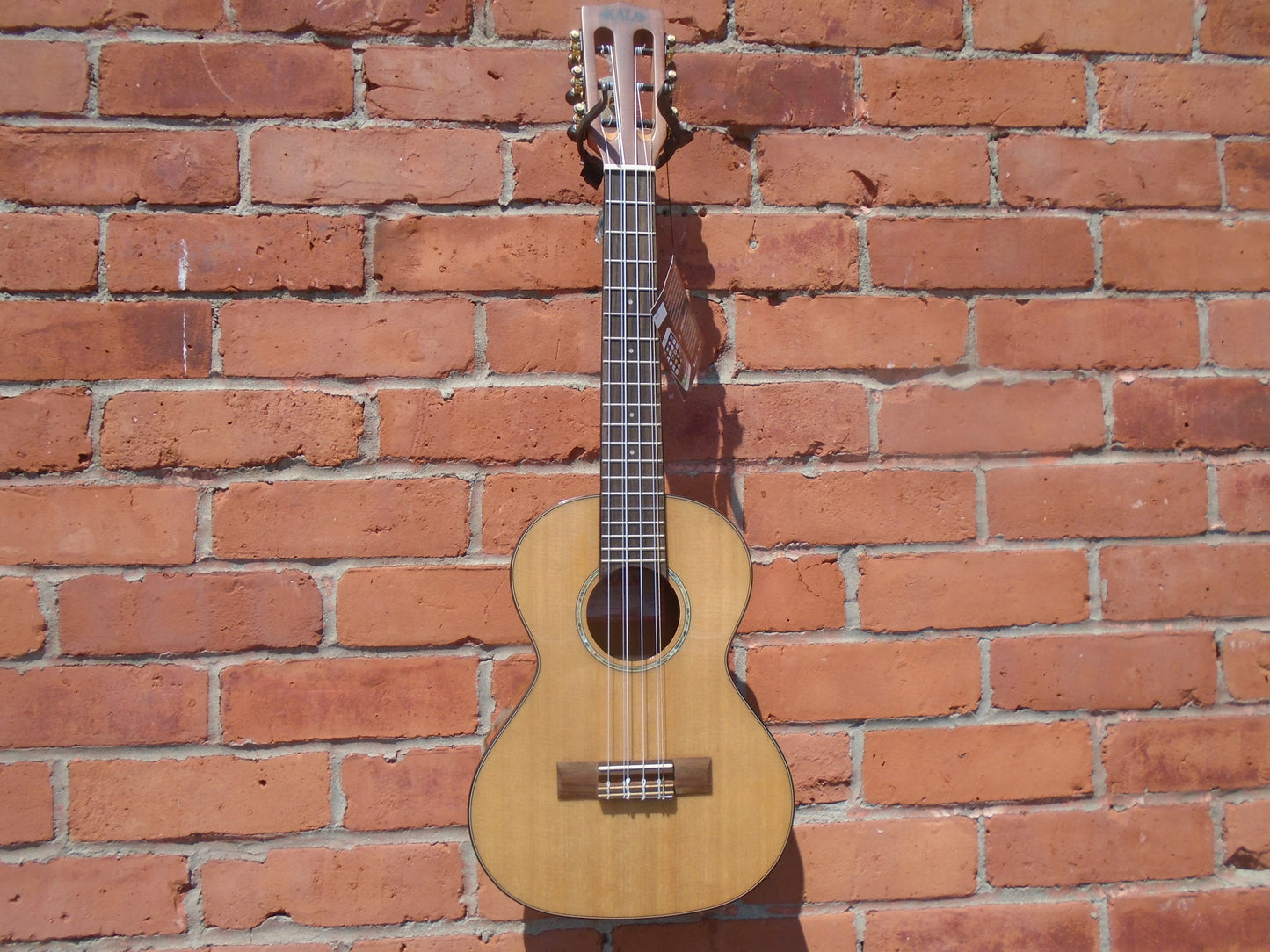 Kala KA-SCSC-T^ ukulele w/ ACT hard case