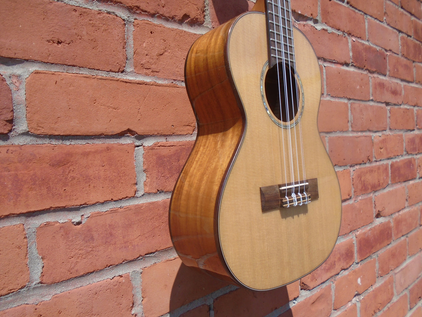 Kala KA-SCSC-T^ ukulele w/ ACT hard case