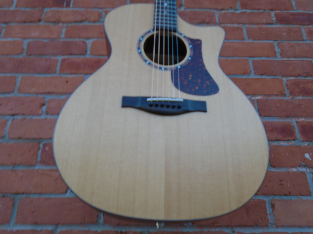 Eastman AC122-2CE w/bag