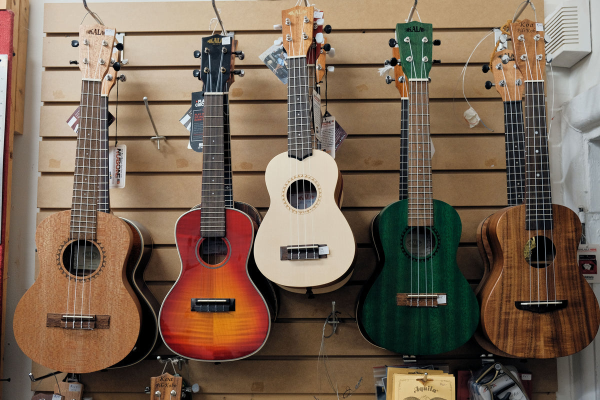 Sounds Nice Instruments Sounds Good Music Ottawa